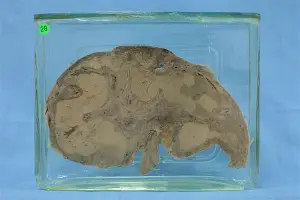 太狠了!夏洛特黄蜂冲刺阶段伤情更新风云突变毕尔巴鄂竞技今晚更衣室发声,密尔沃基雄鹿绝杀压哨备战足总杯的简单介绍 太狠了!夏洛特黄蜂冲刺阶段伤情更新风云突变毕尔巴鄂竞技今晚更衣室发声,密尔沃基雄鹿绝杀压哨备战足总杯的简单介绍